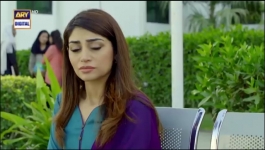 Mere Humsafar - Episode 22 - 2nd Jun 2022